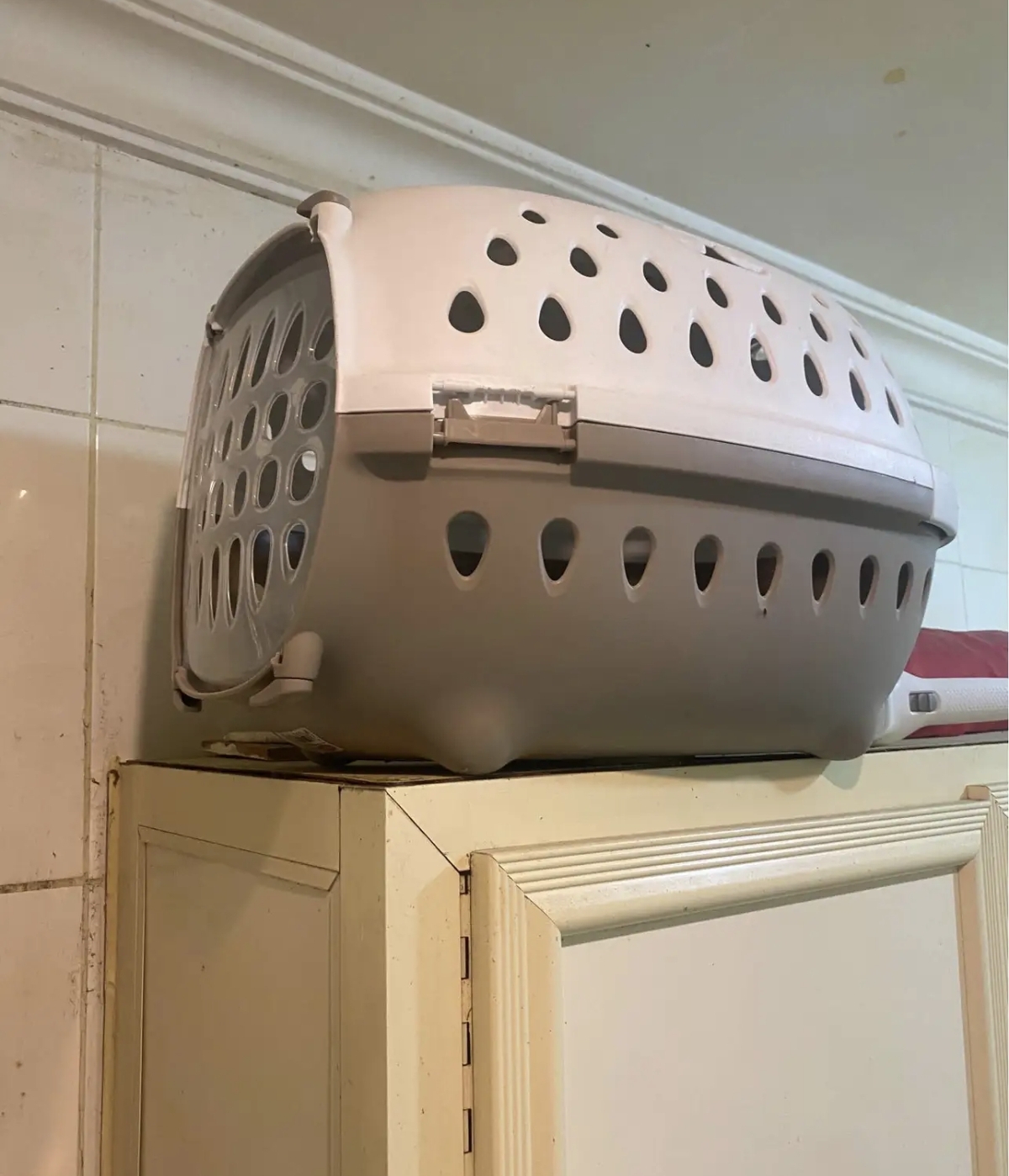 قفص امريكي للقطط