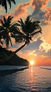 اعلان - بيع في النعيم