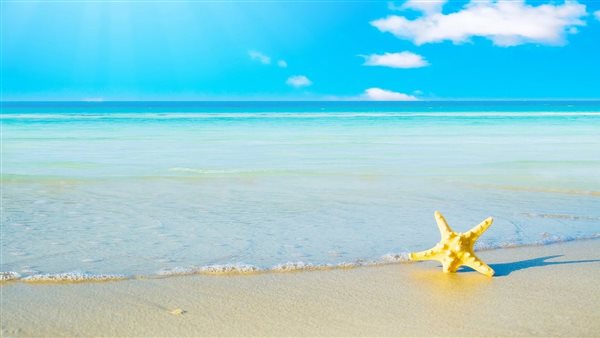 اعلان - بيع في النعيم